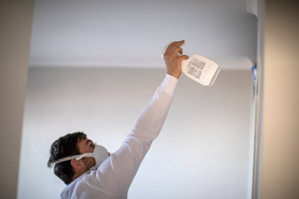 Best Commercial Mold Removal  in Independence, MO